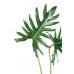 Xantal Leaves